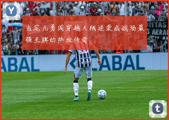 当宠儿勇闯穿越火线逆袭成战场最强王牌的热血传奇