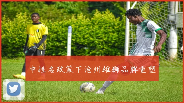 中性名政策下沧州雄狮品牌重塑
