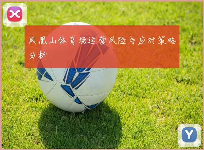 凤凰山体育场运营风险与应对策略分析