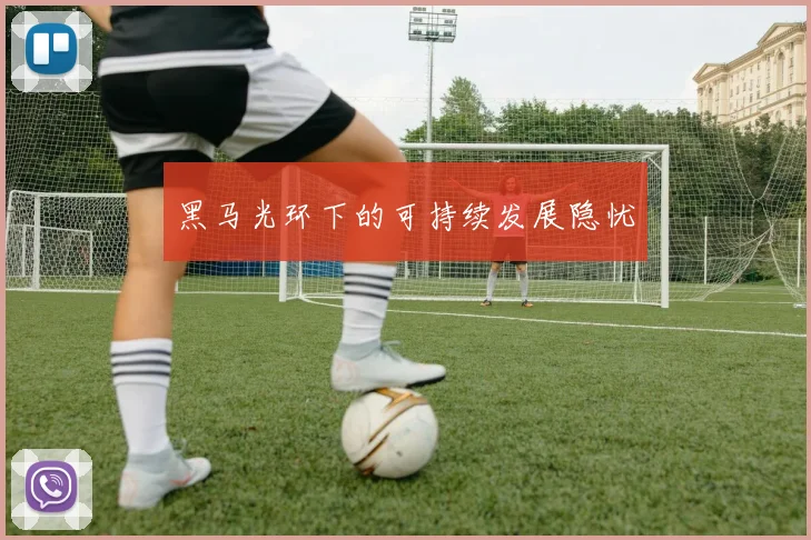 黑马光环下的可持续发展隐忧