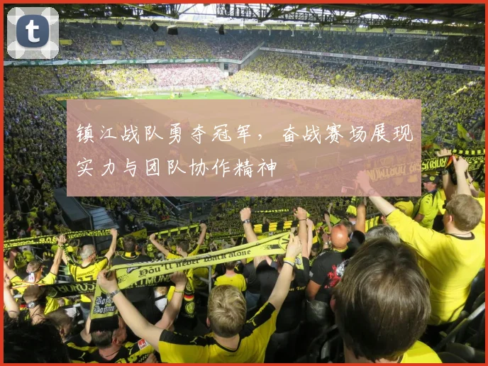 镇江战队勇夺冠军，奋战赛场展现实力与团队协作精神